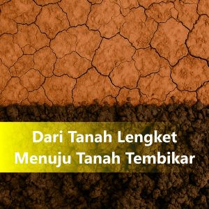 Dari Tanah Lengket Menuju Tanah Tembikar